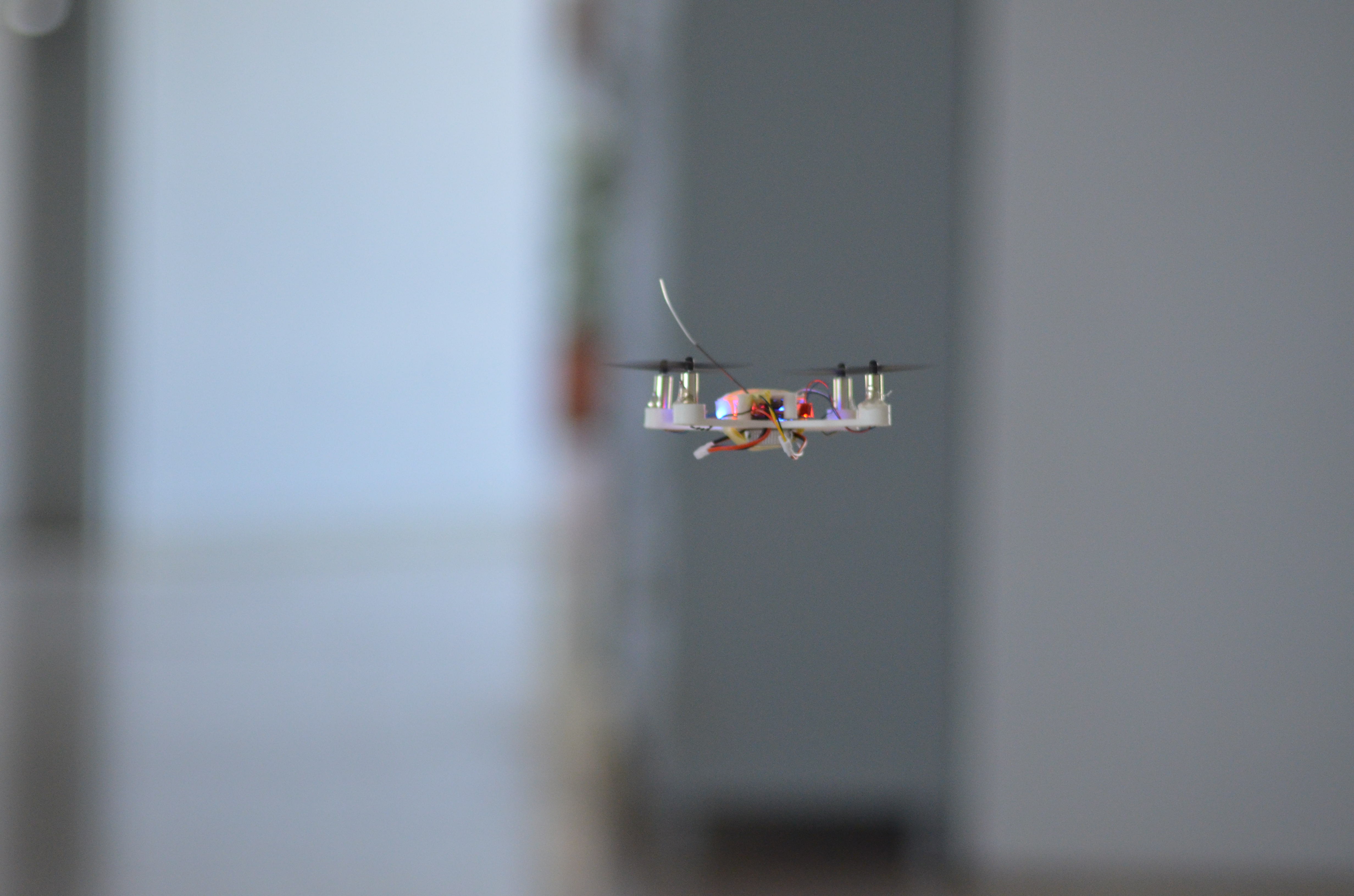 Project screenshot 2